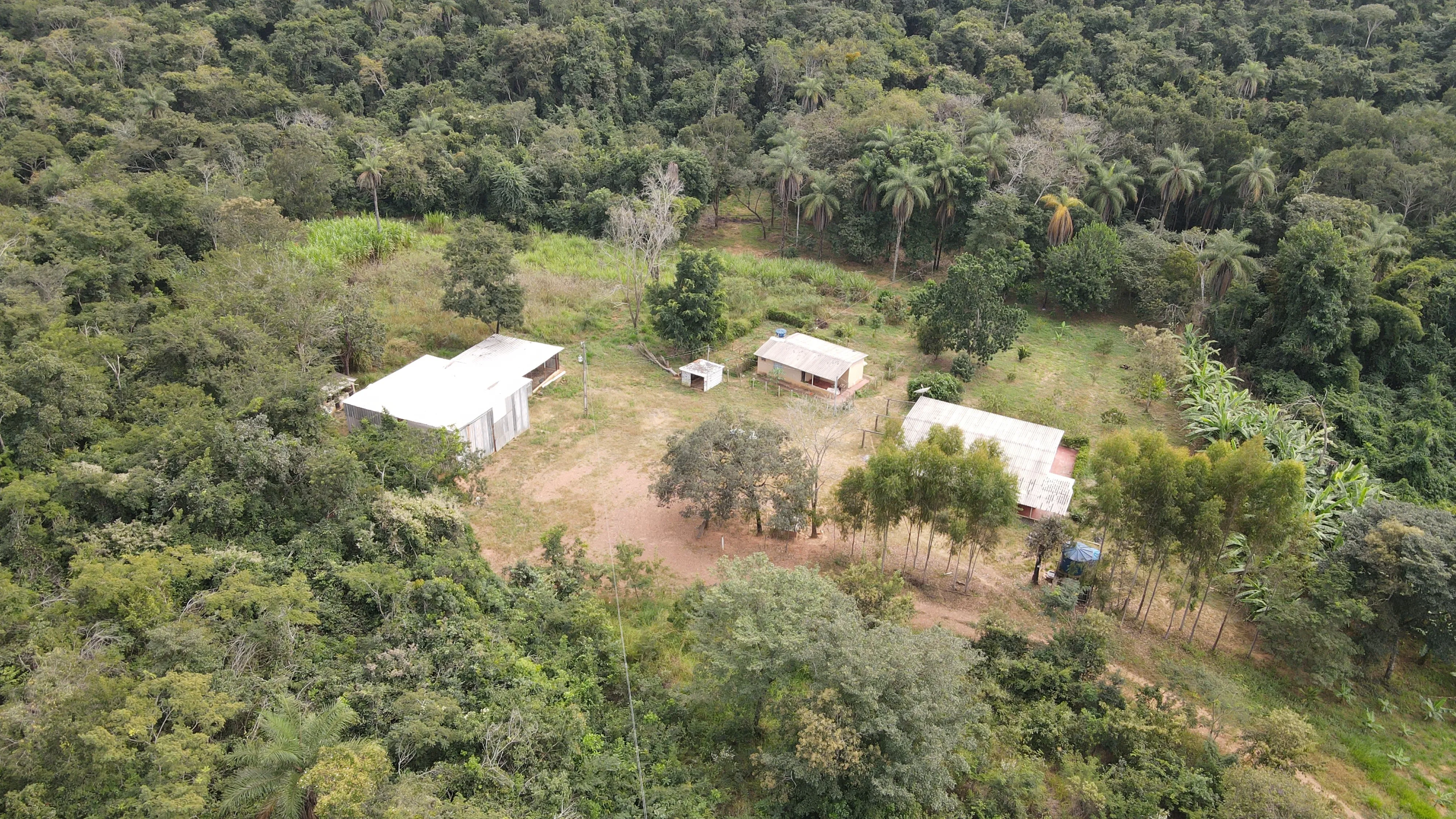 FAZENDA EM CERRADO PARA INVESTIMENTO EM PATROCÍNIO/MG