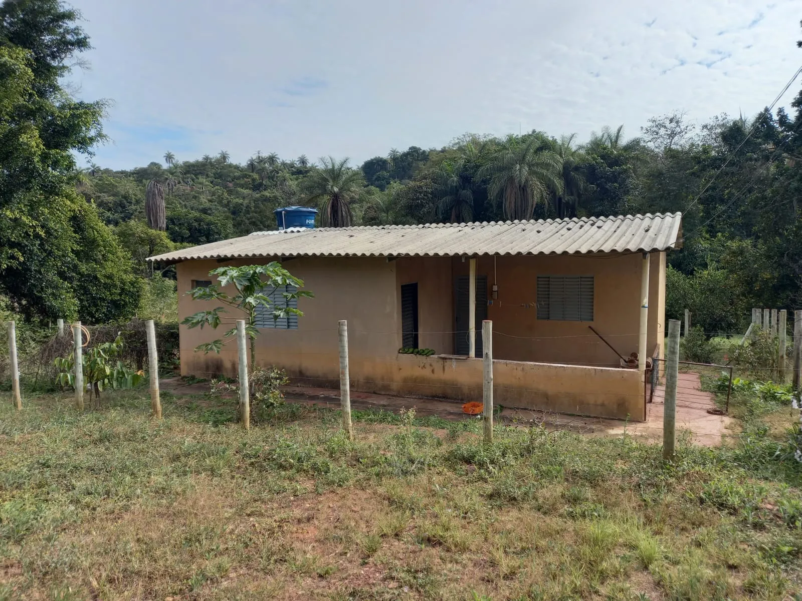 FAZENDA EM CERRADO PARA INVESTIMENTO EM PATROCÍNIO/MG