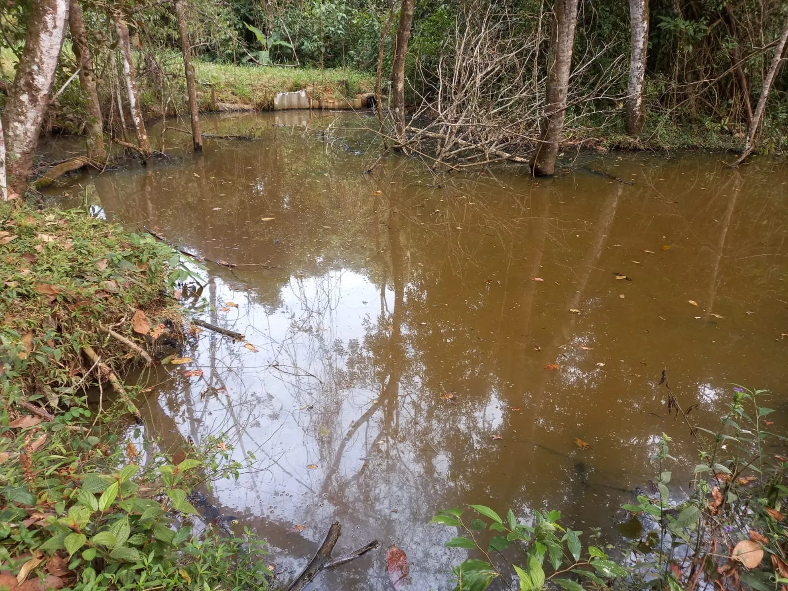 FAZENDA EM CERRADO PARA INVESTIMENTO EM PATROCÍNIO/MG