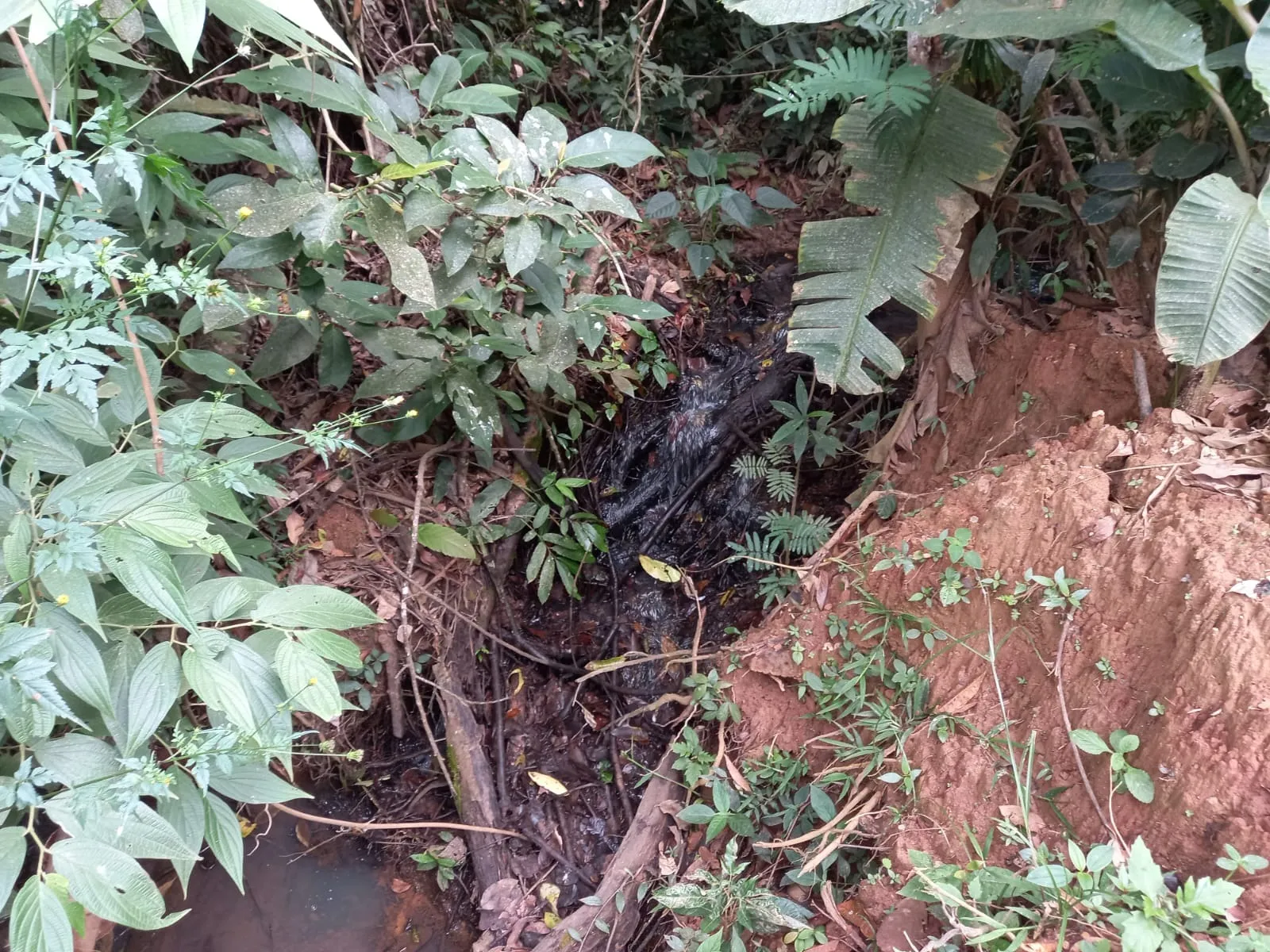 FAZENDA EM CERRADO PARA INVESTIMENTO EM PATROCÍNIO/MG