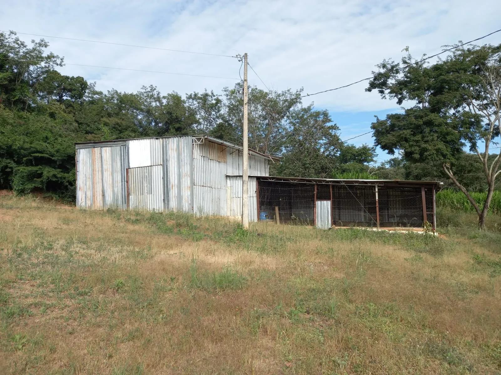 FAZENDA EM CERRADO PARA INVESTIMENTO EM PATROCÍNIO/MG