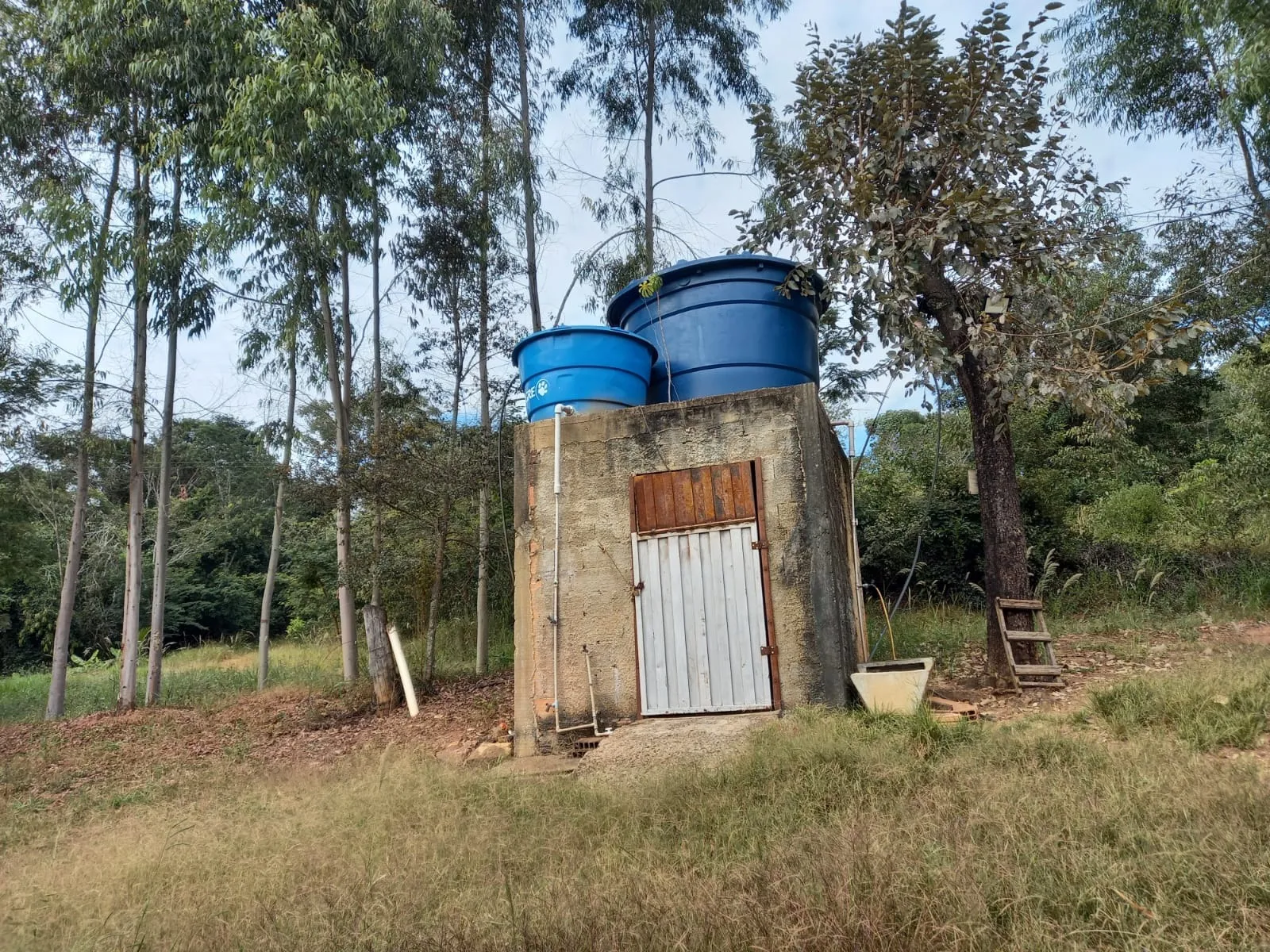 FAZENDA EM CERRADO PARA INVESTIMENTO EM PATROCÍNIO/MG