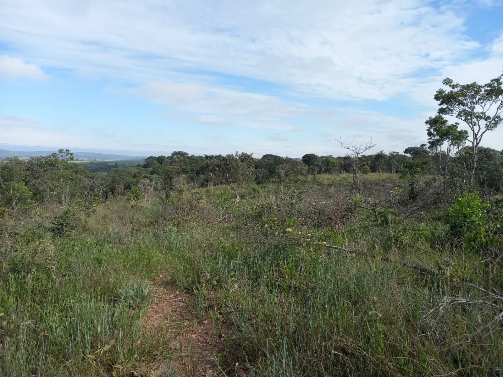 FAZENDA EM CERRADO PARA INVESTIMENTO EM PATROCÍNIO/MG