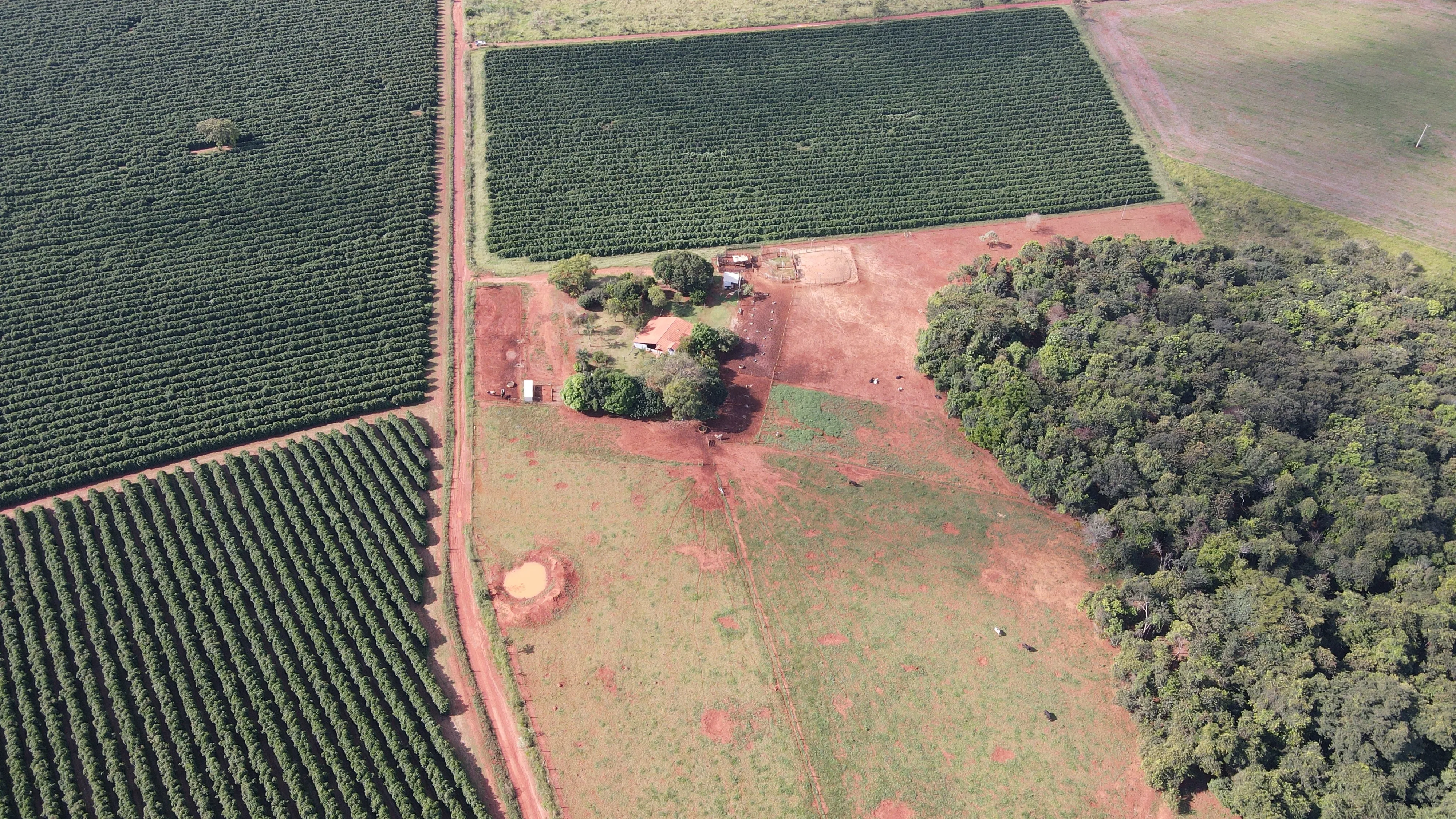 SÍTIO NA REGIÃO DE BOM JARDIM, EM PATROCÍNIO/MG