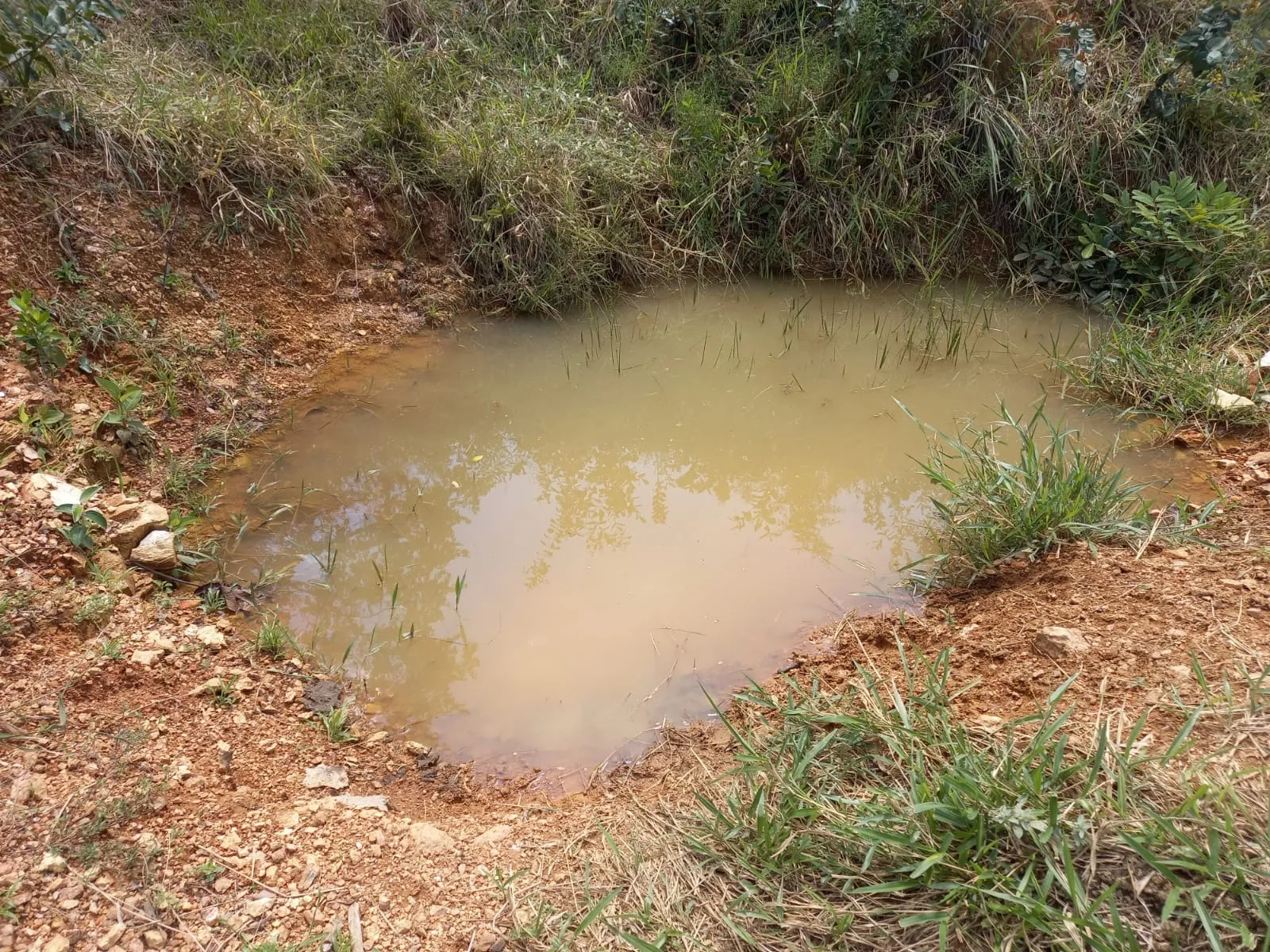 Belo sítio próximo a comunidade de Martins, em Patrocínio/MG