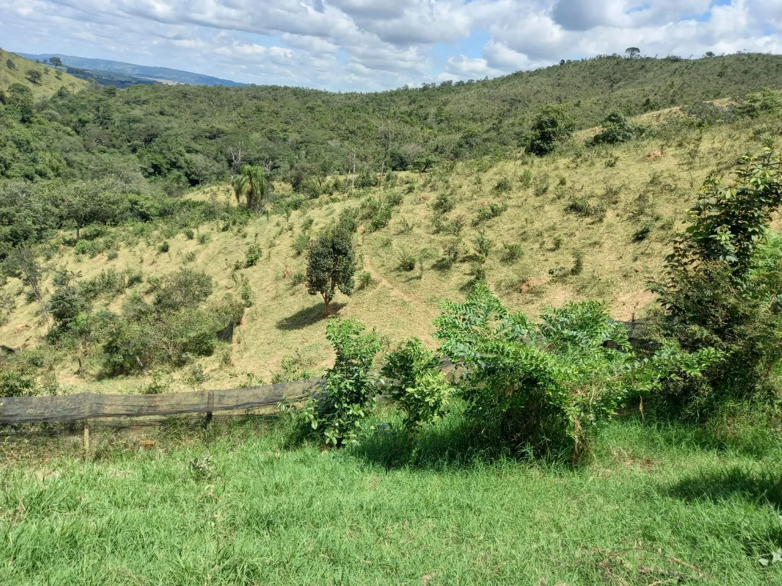 Belo sítio próximo a comunidade de Martins, em Patrocínio/MG